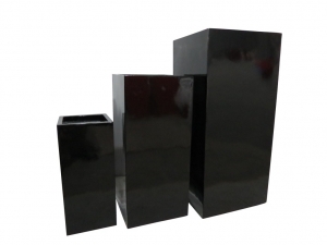 regloss (4) regloss (4)